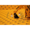Model / Contractor - 1:25
