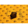 Switch 12V Beacon Light SRS suitable for JCB 3CX 4CX