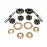 Differential repair kit suitable for JCB
