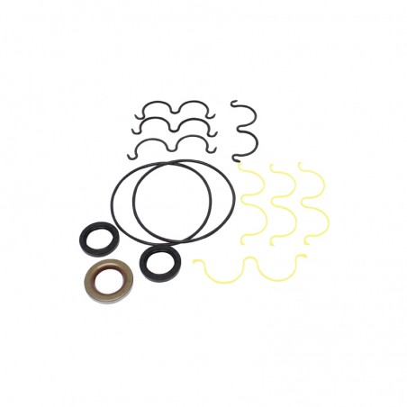 Hydraulic pump seal kit 919/71400