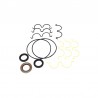 Hydraulic pump seal kit 919/71400