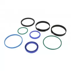 Cylinder seal kit 60mm x 110mm - 991/00110