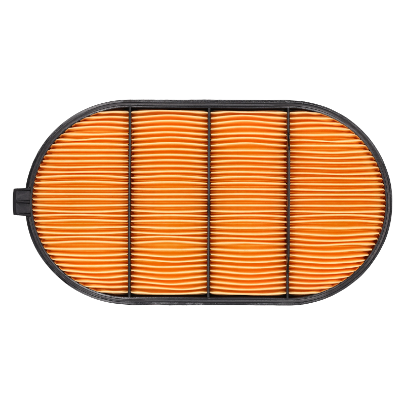 Inner Air Filter - Donaldson - P621984