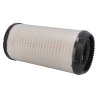 Air Filter with RadialSeal™ design - P617643