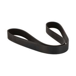 Belt suitable for CAT