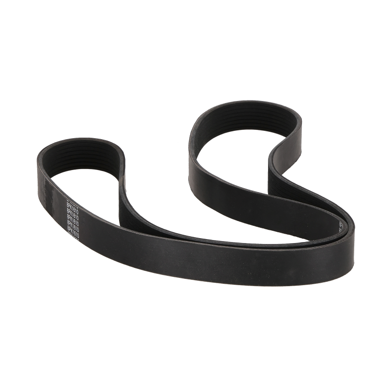 Belt suitable for CAT