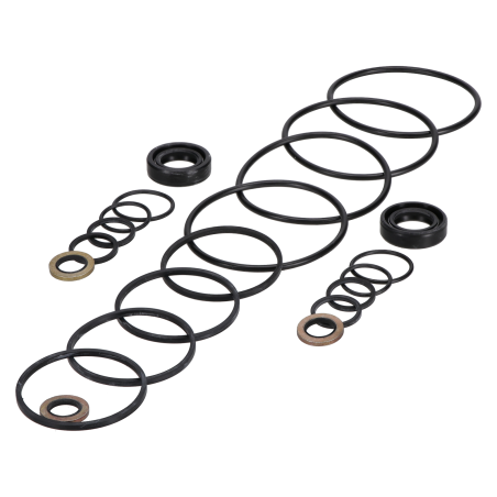 Seal kit suitable for JCB