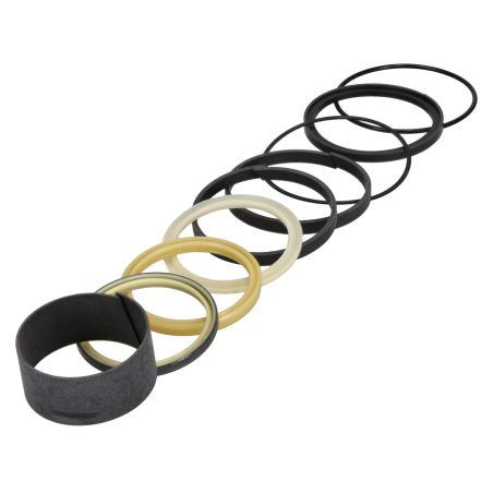 Seal kit suitable for CASE