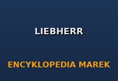 Liebherr: Swiss Precision and German Power in an Integrated System