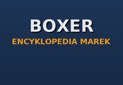 Boxer — miniładowarki narzędziowe (mini skid steer): historia, modele, części zamienne