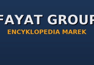 Fayat Group — marki drogowe: Bomag, Dynapac, Marini. Historia, modele, części zamienne