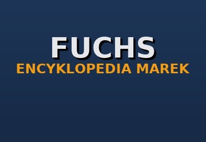 Fuchs — maszyny przeładunkowe: historia, modele, części zamienne