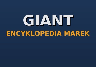 GIANT — ładowarki kompaktowe: historia, modele, części zamienne
