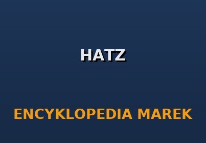 Hatz: Niemiecki Specjalista od Niezawodnych Silników Przemysłowych