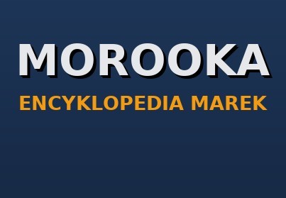 Morooka — wozidła gąsienicowe z gumowymi gąsienicami: historia, modele, części zamienne