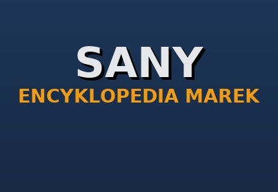 Sany — koparki, dźwigi, maszyny do betonu: historia, modele, części zamienne