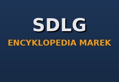 SDLG (Shandong Lingong) — historia, modele, części zamienne