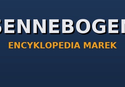 Sennebogen — maszyny przeładunkowe i dźwigi: historia, modele, części zamienne