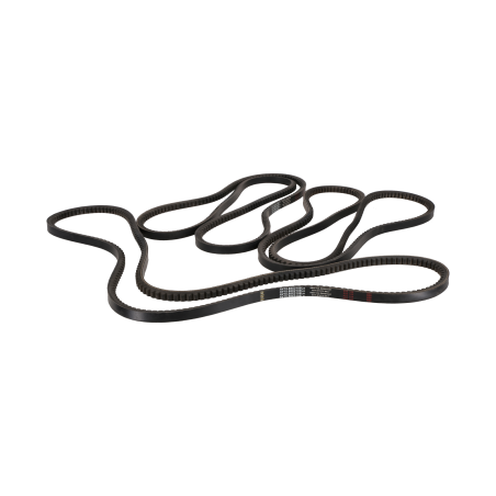 Belt suitable for CAT