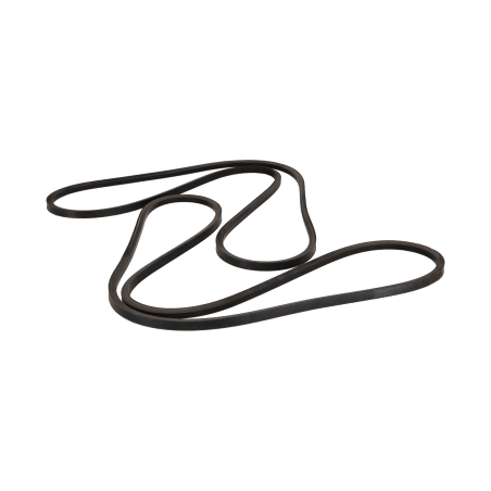 Belt suitable for CAT
