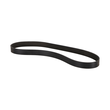 Belt suitable for CAT