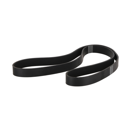 Belt suitable for CAT