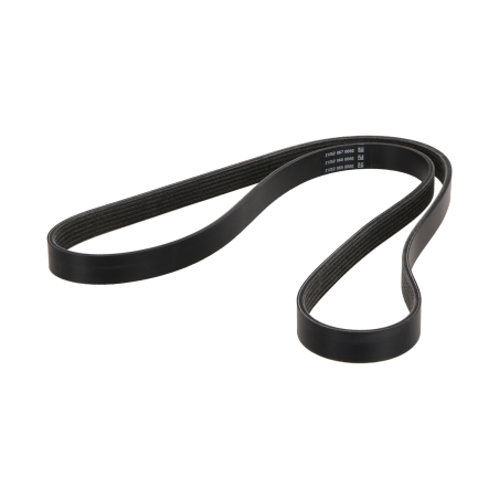 Belt suitable for CAT