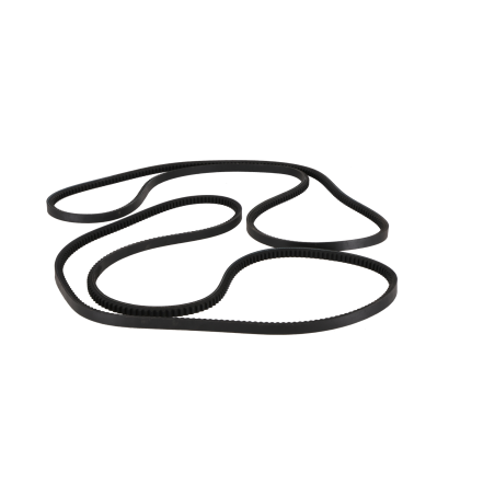 Belt suitable for CAT