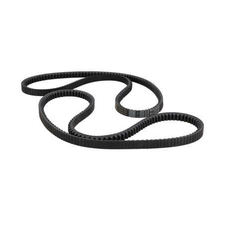 Belt suitable for CAT