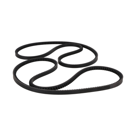 Belt suitable for CAT