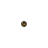SKX1026629 - C - 2D image SKX1026629 - C - 2D image