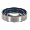 SKX150462 - C - 360° presentation SKX150462 - C - 360° presentation