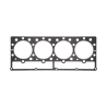 SKX309984 - B - 2D image SKX309984 - B - 2D image