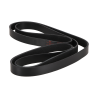 SKX475913 - B - 2D image