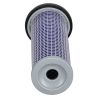 SKX820599 - RX - 2D image SKX820599 - RX - 2D image